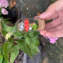 Mini Mushroom Specimen Jars - Handmade Polymer Clay Mushrooms in Glass Jars with Cork Lids - Cottage Core and Witchy Aesthetic Home Decor - Unique Christmas Gift Idea