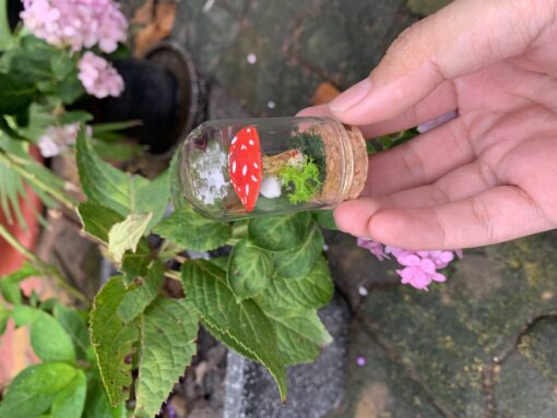 Mini Mushroom Specimen Jars - Handmade Polymer Clay Mushrooms in Glass Jars with Cork Lids - Cottage Core and Witchy Aesthetic Home Decor - Unique Christmas Gift Idea