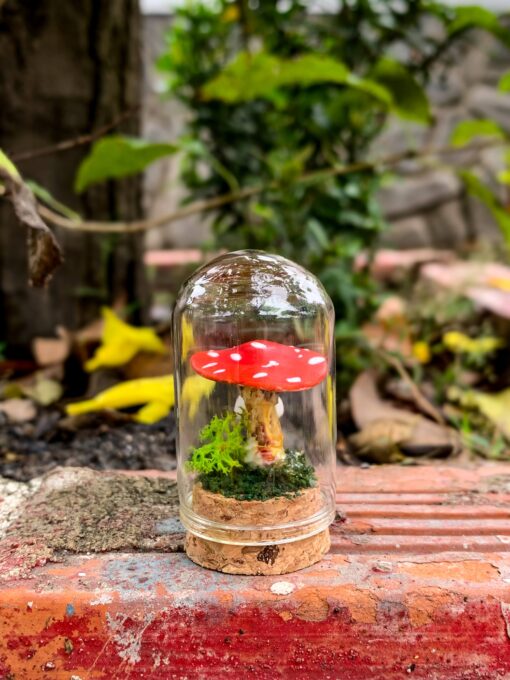 Mini Mushroom Specimen Jars - Handmade Polymer Clay Mushrooms in Glass Jars with Cork Lids - Cottage Core and Witchy Aesthetic Home Decor - Unique Christmas Gift Idea