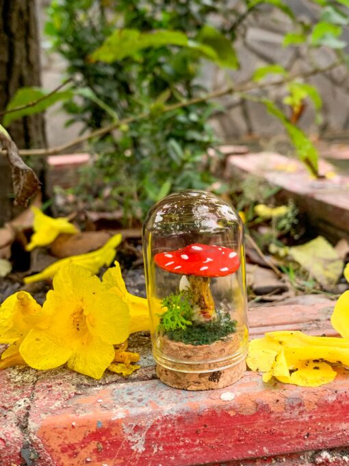 Mini Mushroom Specimen Jars - Handmade Polymer Clay Mushrooms in Glass Jars with Cork Lids - Cottage Core and Witchy Aesthetic Home Decor - Unique Christmas Gift Idea